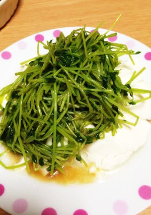 豆苗のナムルのせ冷奴♡ごま油の香り-レシピのメイン写真