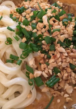 現役自衛官の国家秘密坦々ナス辛辛うどん-レシピのメイン写真