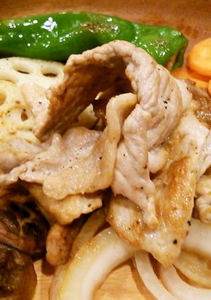 野菜と肉のおろしソースがけ♪-レシピのメイン写真