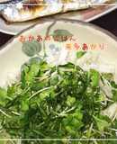 【和食に合うサラダ】じゃこと大根のサラダ