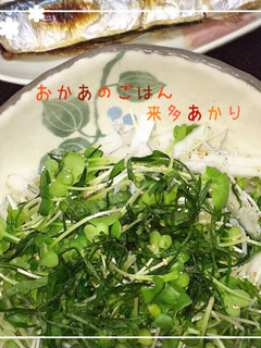 【和食に合うサラダ】じゃこと大根のサラダ-レシピのメイン写真