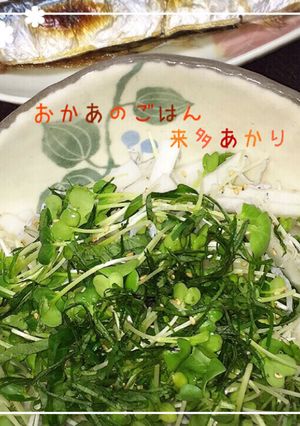 【和食に合うサラダ】じゃこと大根のサラダ-レシピのメイン写真