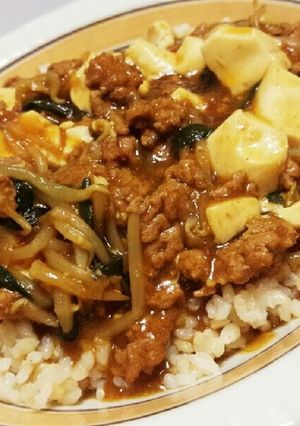 ハイブリッド飯！マーボーカレー♡-レシピのメイン写真