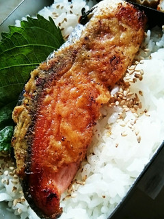 塩鮭のチーズ焼き♪お弁当にぴったり-レシピのメイン写真