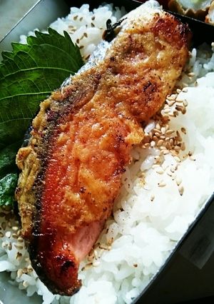 塩鮭のチーズ焼き♪お弁当にぴったり-レシピのメイン写真