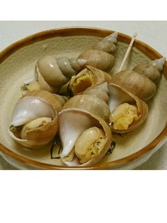 【絶品】もつ煮やさんの小ばい貝煮-レシピのメイン写真