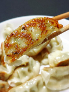 ウチの鶏餃子!-レシピのメイン写真
