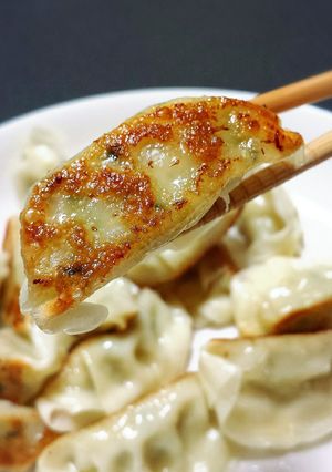ウチの鶏餃子！-レシピのメイン写真