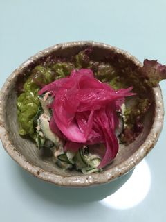 話題の酢玉ねぎかけツナキュウリサラダ-レシピのメイン写真