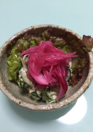 話題の酢玉ねぎかけツナキュウリサラダ-レシピのメイン写真
