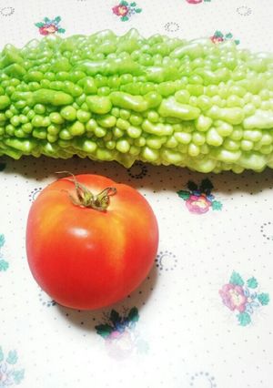 餃子の皮でパリパリ ゴーヤハムチーズ揚げ-レシピのメイン写真