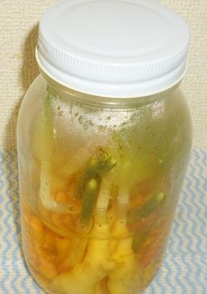 はじかみ生姜-レシピのメイン写真