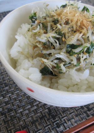 簡単レシピ! ちりめんどんぶり-レシピのメイン写真