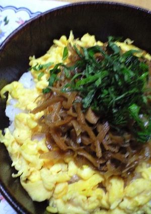 ピリッと美味しい生姜丼-レシピのメイン写真