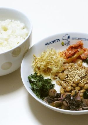 納豆山芋キムチ海苔ワカメ胡麻シラス鰹節丼-レシピのメイン写真