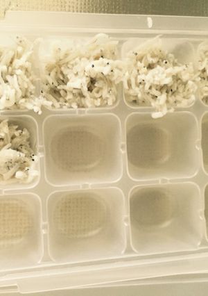 離乳食中期〜後期しらす冷凍ストック-レシピのメイン写真