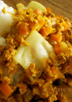 肉ゼロ!?高野豆腐と野菜ヘルシーカレー♡-レシピのメイン写真