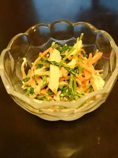 《鶏肉と豆苗のサラダ》-レシピのメイン写真