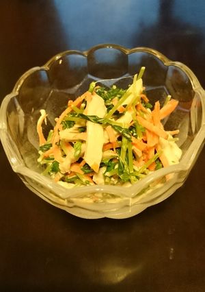 《鶏肉と豆苗のサラダ》-レシピのメイン写真
