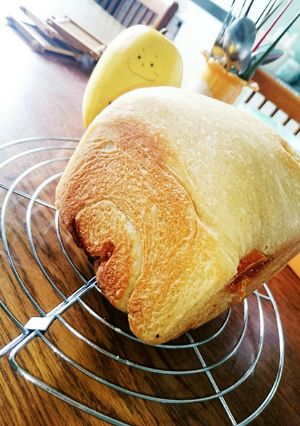 自家製天然酵母食パン-レシピのメイン写真