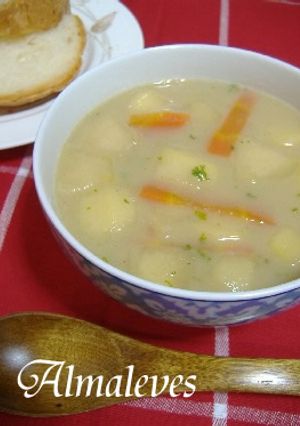 ハンガリー家庭料理♪♪りんごのスープ-レシピのメイン写真