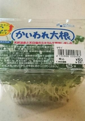 かいわれ大根の簡単辛味抜き-レシピのメイン写真