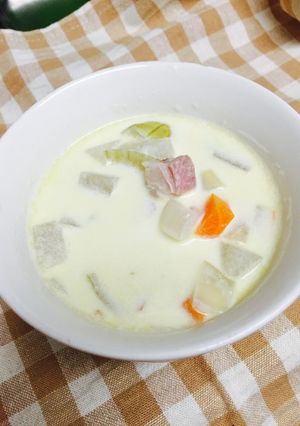 野菜たっぷり★簡単★濃厚ミルクスープ-レシピのメイン写真