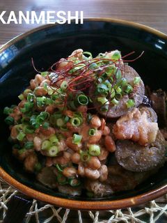 豚肉と茄子の味噌納豆丼-レシピのメイン写真