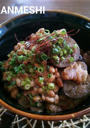 豚肉と茄子の味噌納豆丼-レシピのメイン写真