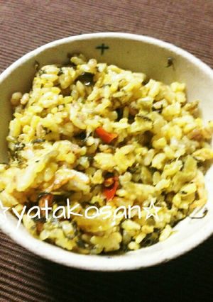 桜エビ香る～おひとり様の高菜チャーハン-レシピのメイン写真
