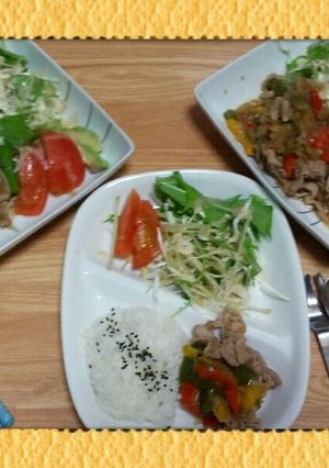 名糖L .T ❗❗彩り生姜焼き~っ❗❗-レシピのメイン写真