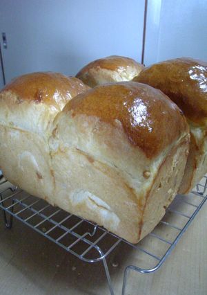 メープル食パン♪-レシピのメイン写真
