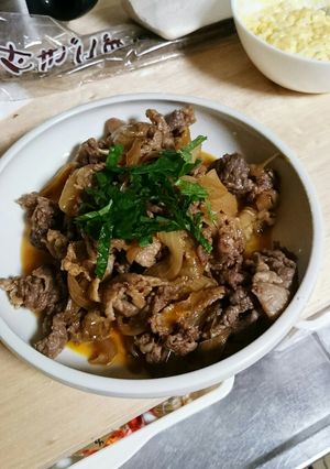 牛切り落とし肉で牛丼だねを作ってみた-レシピのメイン写真