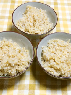 レンジ玄米御飯(茶碗3杯・浸し後加熱)-レシピのメイン写真