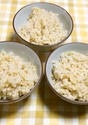 レンジ玄米御飯(茶碗3杯・浸し後加熱)-レシピのメイン写真