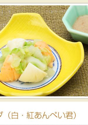介護食　あんぺいのサラダ-レシピのメイン写真