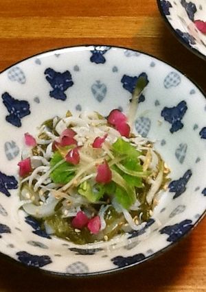 イカそーめん&めかぶの小鉢-レシピのメイン写真