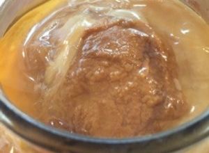 紅茶キノコ(コンブチャ)基本の作り方-レシピのメイン写真
