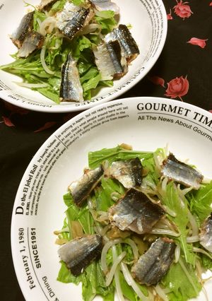 秋刀魚ともやしの✿ヘルシー❀サラダ✿-レシピのメイン写真