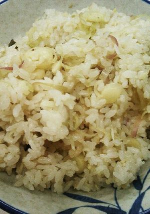 みょうがご飯-レシピのメイン写真