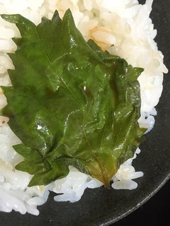 しその葉の醤油漬け-レシピのメイン写真