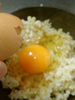 最強の卵かけごはん-レシピのメイン写真
