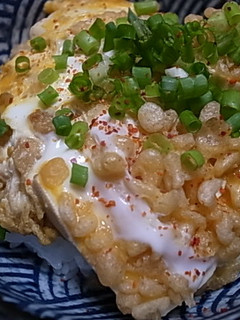 さっと作れる♪豆腐と揚げ玉の丼-レシピのメイン写真