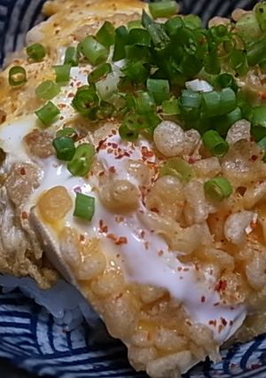 さっと作れる♪豆腐と揚げ玉の丼-レシピのメイン写真