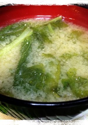 【節約】かぶの葉でお味噌汁-レシピのメイン写真