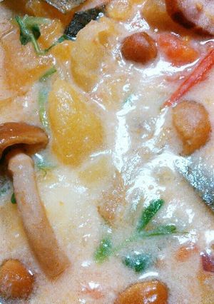 美容と健康です◎具だくさんの豆乳スープ-レシピのメイン写真