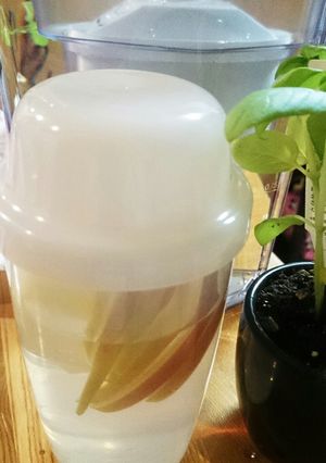 ブリタの水でデトックスウォーター-レシピのメイン写真