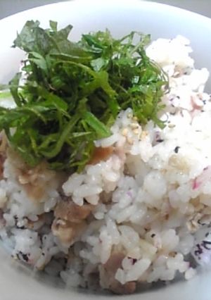 うめ~ごはん-レシピのメイン写真