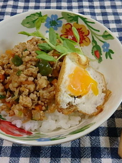 残り野菜と丸鶏がらスープ☆子どもガパオ丼-レシピのメイン写真