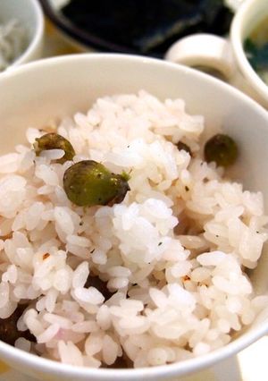 コシヒカリ新米で零余子(むかご)ご飯-レシピのメイン写真